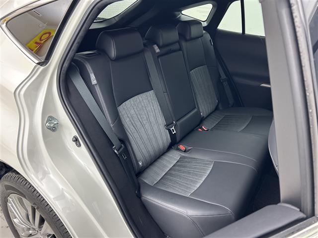 ���k���[���ɂ̓L�b�Y���[�����������Ă��܂������q�l�A��ł��������Ƃ��Ԃ����I�т��������܂��I