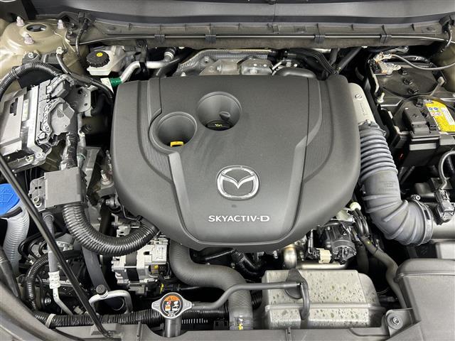 �݂Ȃ��܂̂��ԑI�т̂���`���������Ă��������I�X�^�b�t�ꓯ�S��育���X�A���₢���킹�����҂����Ă���܂��I