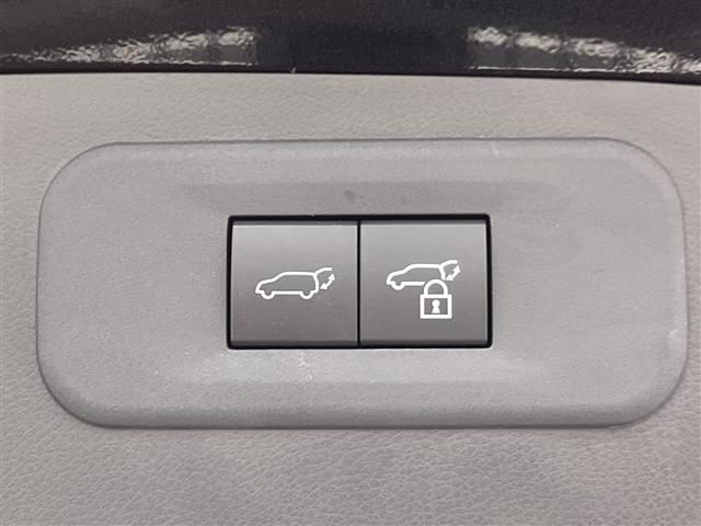 ＮＸ ＮＸ２５０　バージョンＬ　禁煙車　マークレビンソン　純正エアロ　パノラミックビューモニター　ＢＳＭ　サンルーフ　ワイヤレス　１４型ナビ　フルセグＴＶ　シートヒーター・エアシート　ステアリングヒーター　デジタルミラー（6枚目）