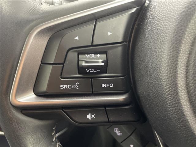 フォレスター スポーツ 禁煙車/純正ナビ/Bluetooth/CD/DVD/フルセグTV/レーダークルーズコントロール/衝突被害軽減システム/レーンキープアシスト/BMS/電動リアゲート/ステアリングヒ(23枚目)