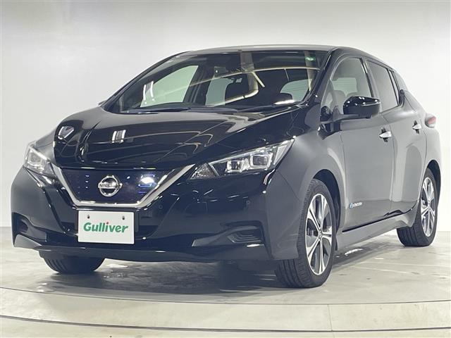 リーフ Ｘ　Ｖセレクション　プロパイロット　純正９型ＳＤナビ　３６０°　ＬＥＤヘッドライト　ＥＴＣ　シートヒーター　ＢＳＭ　スマートキー　追従クルコン　ステアリングヒーター　純正１７インチＡＷ　オートライト　取扱説明書　保証書（32枚目）