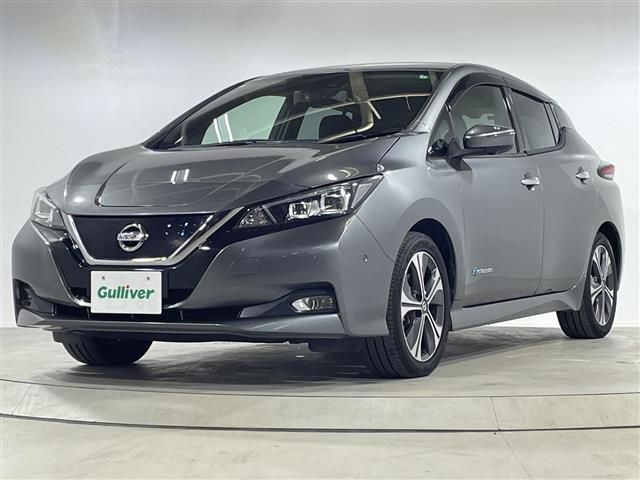 リーフ Ｇ　純正ナビ　デジタルインナーミラー　クルーズコントロール　ブラインドスポットモニター　前側ドライブレコーダー　シートヒーター　バックカメラ　ＥＴＣ　純正フロアマット　ＬＥＤヘッドライト　純正１７ＡＷ（31枚目）