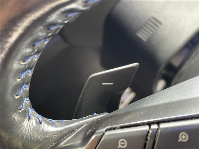 レヴォーグ １．６ＧＴ－Ｓアイサイト　ＳＴｉエアロ（Ｆ／Ｓ／Ｒ）　社外グリル　アドバンスドセーフティＰＫＧ　社外７型ナビ　Ｂカメラ　左サイドカメラ　フルセグＴＶ　Ｂｌｕｅｔｏｏｔｈ　アイサイト　前席パワーシート　ＡＣＣ　ＥＴＣ（5枚目）