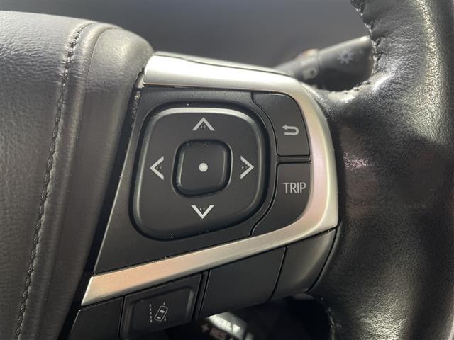 エスティマ アエラス　プレミアム　大型ムーンルーフ　純正９型ナビ　フルセグＴＶ　Ｂｌｕｅｔｏｏｔｈ対応　ドライブレコーダー　ビルトインＥＴＣ　両側パワースライドドア　ハーフレザーシート　キャプテンシート　純正ＬＥＤランプ　フォグランプ（13枚目）