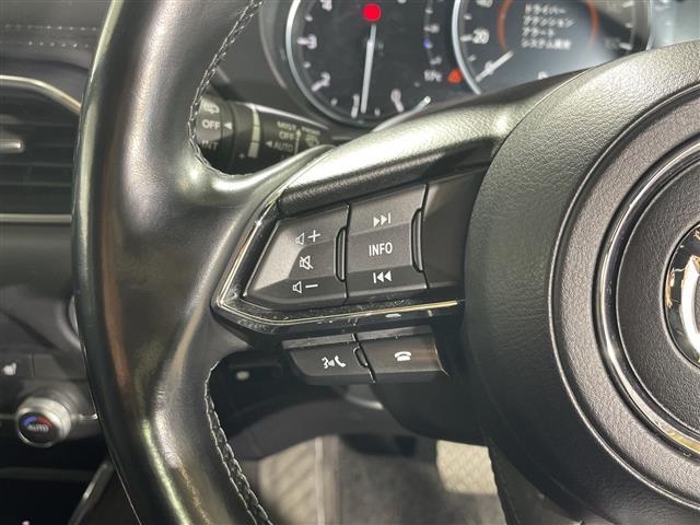 ＣＸ－８ ＸＤ　Ｌパッケージ　ワンオーナー　純正ナビ　全周囲カメラ　ステアリングヒーター　前席シートヒーター　前席パワーシート　運転席メモリーシート　前席シートベンチレーション　キャプテンシート　スペアキー１本　純正フロアマット（13枚目）