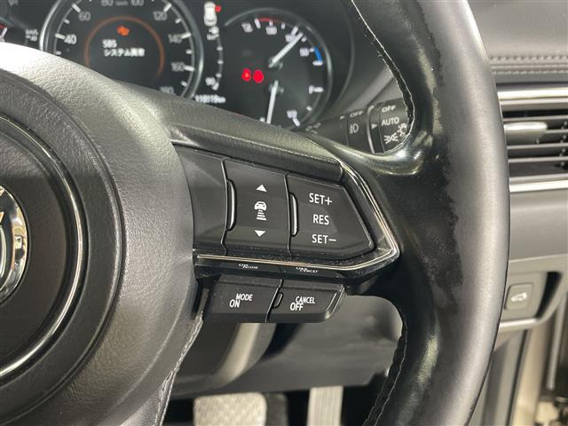 ＣＸ－８ ＸＤ　Ｌパッケージ　ワンオーナー　純正ナビ　全周囲カメラ　ステアリングヒーター　前席シートヒーター　前席パワーシート　運転席メモリーシート　前席シートベンチレーション　キャプテンシート　スペアキー１本　純正フロアマット（14枚目）