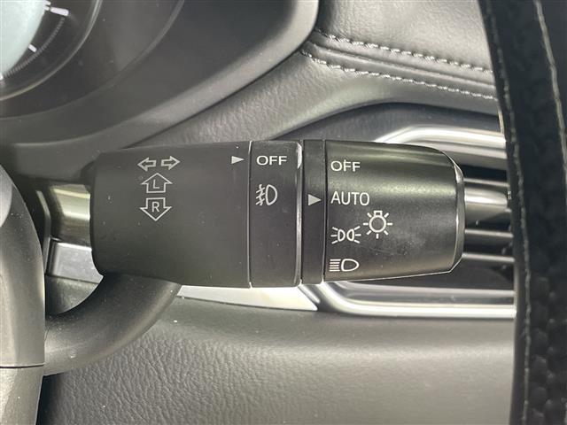 ＣＸ－８ ＸＤ　Ｌパッケージ　ワンオーナー　純正ナビ　全周囲カメラ　ステアリングヒーター　前席シートヒーター　前席パワーシート　運転席メモリーシート　前席シートベンチレーション　キャプテンシート　スペアキー１本　純正フロアマット（21枚目）
