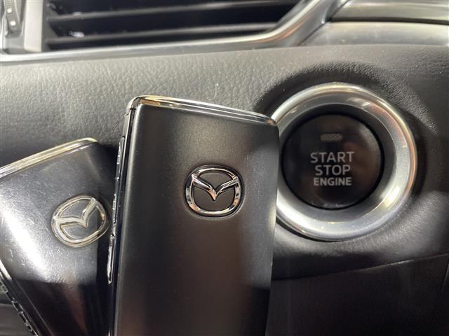 ＣＸ－８ ＸＤ　Ｌパッケージ　ワンオーナー　純正ナビ　全周囲カメラ　ステアリングヒーター　前席シートヒーター　前席パワーシート　運転席メモリーシート　前席シートベンチレーション　キャプテンシート　スペアキー１本　純正フロアマット（22枚目）