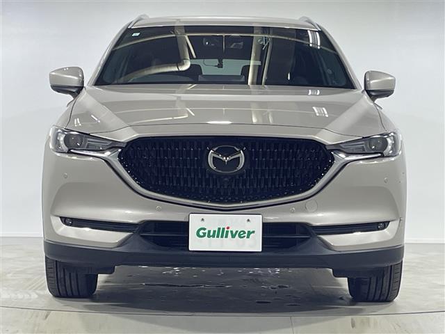 ＣＸ－８ ＸＤ　Ｌパッケージ　ワンオーナー　純正ナビ　全周囲カメラ　ステアリングヒーター　前席シートヒーター　前席パワーシート　運転席メモリーシート　前席シートベンチレーション　キャプテンシート　スペアキー１本　純正フロアマット（32枚目）