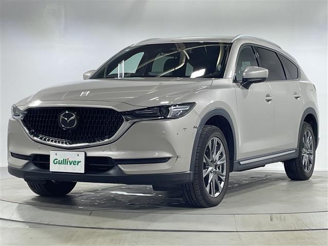 ＣＸ－８ ＸＤ　Ｌパッケージ　ワンオーナー　純正ナビ　全周囲カメラ　ステアリングヒーター　前席シートヒーター　前席パワーシート　運転席メモリーシート　前席シートベンチレーション　キャプテンシート　スペアキー１本　純正フロアマット（33枚目）