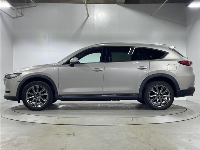 ＣＸ－８ ＸＤ　Ｌパッケージ　ワンオーナー　純正ナビ　全周囲カメラ　ステアリングヒーター　前席シートヒーター　前席パワーシート　運転席メモリーシート　前席シートベンチレーション　キャプテンシート　スペアキー１本　純正フロアマット（34枚目）