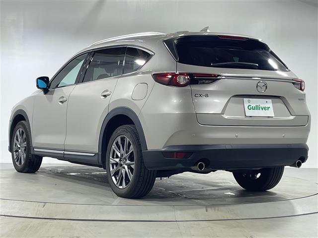 ＣＸ－８ ＸＤ　Ｌパッケージ　ワンオーナー　純正ナビ　全周囲カメラ　ステアリングヒーター　前席シートヒーター　前席パワーシート　運転席メモリーシート　前席シートベンチレーション　キャプテンシート　スペアキー１本　純正フロアマット（35枚目）