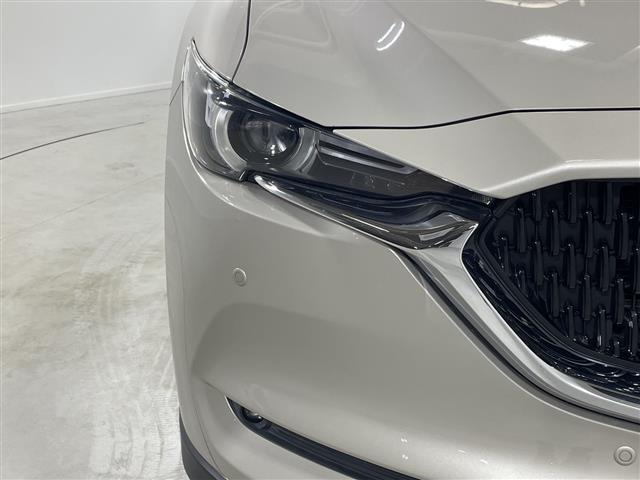 ＣＸ－８ ＸＤ　Ｌパッケージ　ワンオーナー　純正ナビ　全周囲カメラ　ステアリングヒーター　前席シートヒーター　前席パワーシート　運転席メモリーシート　前席シートベンチレーション　キャプテンシート　スペアキー１本　純正フロアマット（39枚目）