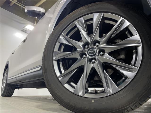 ＣＸ－８ ＸＤ　Ｌパッケージ　ワンオーナー　純正ナビ　全周囲カメラ　ステアリングヒーター　前席シートヒーター　前席パワーシート　運転席メモリーシート　前席シートベンチレーション　キャプテンシート　スペアキー１本　純正フロアマット（40枚目）