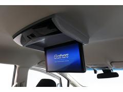 ڥꥢʥ˥۸˾֤Ƥͤ˰ޤ󡪥˥ϤǼǼޤ 3