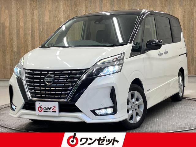   ϥ֡ե륻ʥӡʥ˥ξ¦ưɥ