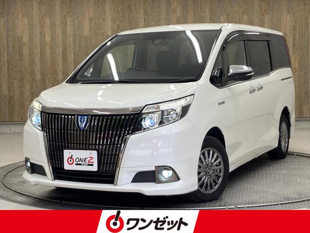 󥼥åŹΥڡˤ꤬ ե륻ʥӡξ¦ưɥͷڸ֥졼æ 1