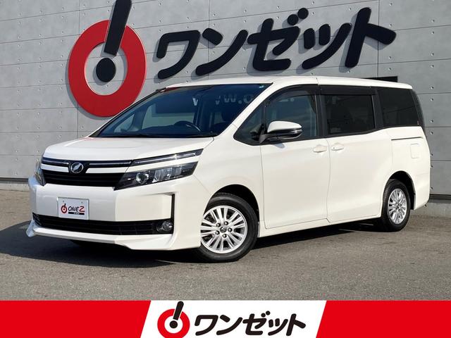 ȥ西  ֡ʥӡեƥ󥹡롼ȥ