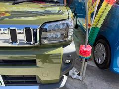 ե ǥܡ٥㡼֥롼ȥ̥˥ 6300021A30250930W003 2