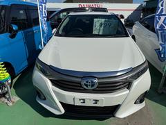 �ӣ��� �ӡ��åѥå��������ʥӡ��֥롼�ȥ����� 6300021A30260106W003 3