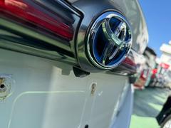 �ӣ��� �ӡ��åѥå��������ʥӡ��֥롼�ȥ����� 6300021A30260106W003 5