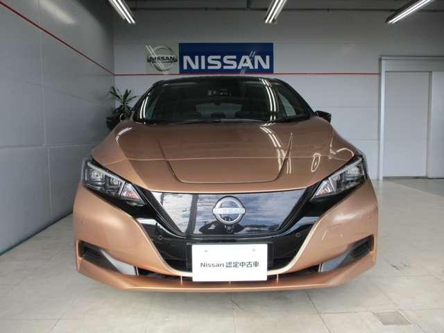 ■日産らしさを引き立てるフロントマスクの大きなＶモーショングリル。ＮＩＳＳＡＮロゴの上部に通常と急速、どちらも備えた充電口があります。