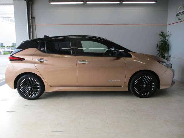 ■電気で走る環境に配慮したＥＶ車なので、もちろん排気量はゼロ！環境に配慮しながらも大人でおしゃれを求める貴方に！