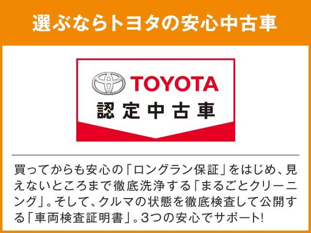 ハイブリッドX(28枚目)