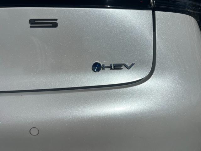 ハイブリッドエンブレム☆