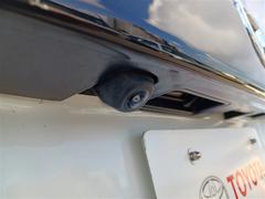 ������������ �ϥ��֥�åɣǣ顡�ץ�ߥ���ѥå��������ե륻�������꡼�ʥӡ��ģ֣ĺ��� 6300356A20251018T001 6