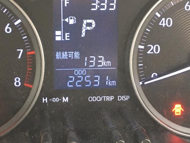 スタイルG SAII(20枚目)