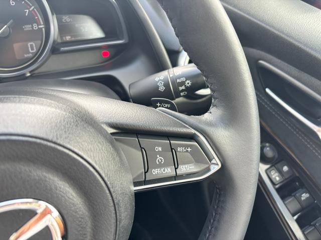 ＭＡＺＤＡ２ １５Ｓ　Ｌパッケージ　［レザーシート／３６０ビューモニター／Ｂｌｕｅｔｏｏｔｈ／Ａｐｐｌｅ　ＣａｒＰｌａｙ／Ａｎｄｒｏｉｄ　Ａｕｔｏ／防錆コート済み／ワンオーナー］（30枚目）