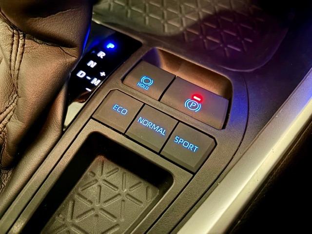 RAV4 X ワンオーナー OP10年保証対象車 純正ディスプレイオーディオ(フルセグTV・Bluetooth) レーダークルーズコントロール BSM 電動パーキング ETC バックカメラ クリアランスソナー(27枚目)