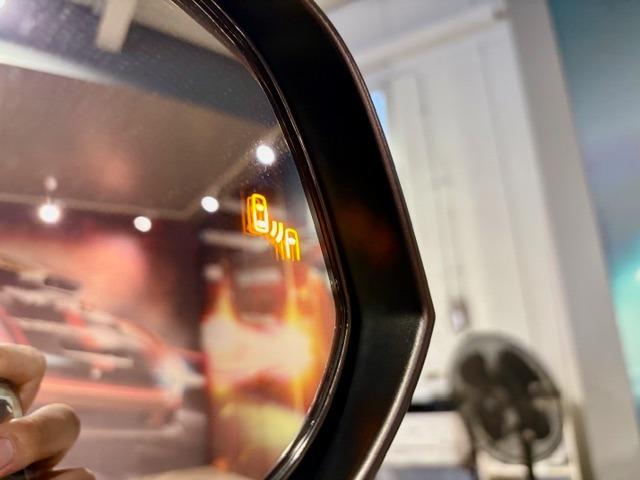 RAV4 X ワンオーナー OP10年保証対象車 純正ディスプレイオーディオ(フルセグTV・Bluetooth) レーダークルーズコントロール BSM 電動パーキング ETC バックカメラ クリアランスソナー(31枚目)