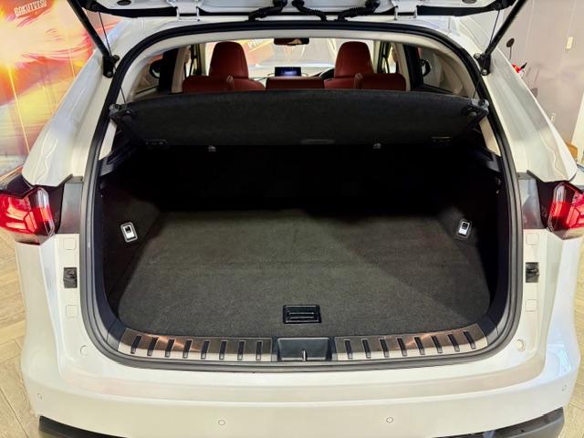 ゴルフバックも楽々積めます