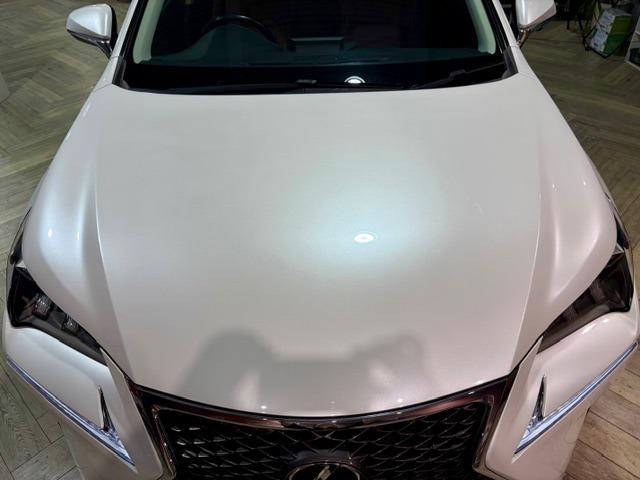 「お問合せはユーポス新都心店まで／０９８－８６０－８８８０お待ちしております」