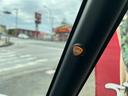 カスタムＲＳスタイルセレクション　本土車両　特別仕様車　ブラインドスポットモニター　純正ナビ　Ｂｌｕｅｔｏｏｔｈ　ｉＰｏｄ　ナビ連動純正ドラレコ　ＥＴＣ　バックモニター　両側パワースライドドア　純正ＬＥＤヘッドライト＆フォグ（26枚目）