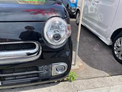 ߥ饳 ץ饹ءʥӣԣ֥֡롼ȥţԣáޡȥ 6300501A30250417W005 3
