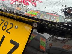 Ρݣ£ϣإ ǡӣӥѥåξ¦ѥ饤ɥɥʥӡ֥롼ȥ 6300501A30251111W001 6