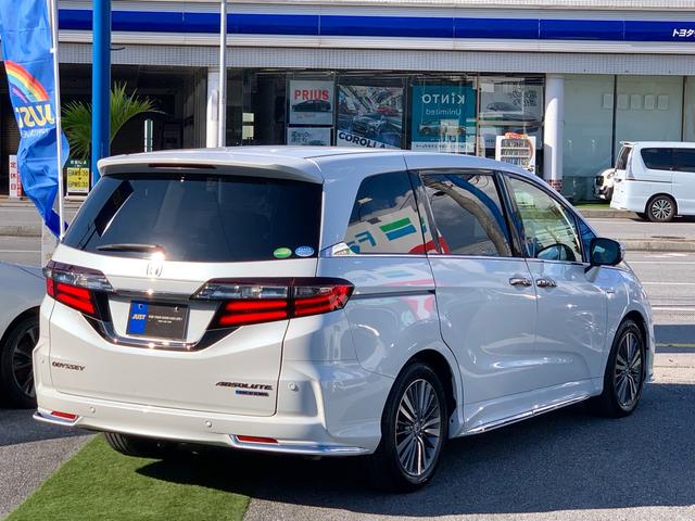 エアロダイナミクス・ドアロアガーニッシュ（クロームメッキ調モール付）