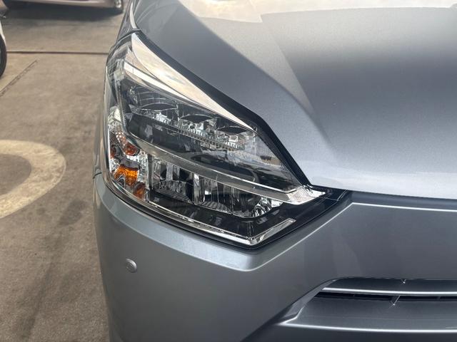 目がつやっつやしています♪