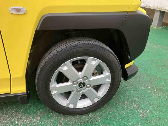 タフト Ｇ（24枚目）