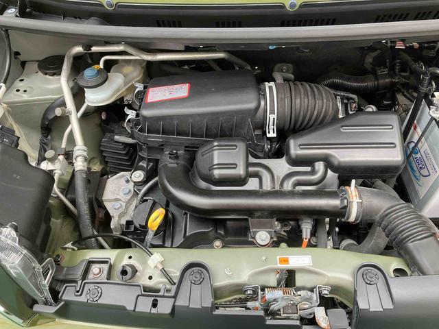 タフト G(17枚目)