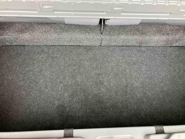 タフト G(20枚目)