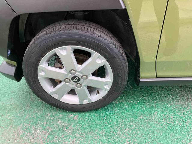 タフト G(21枚目)