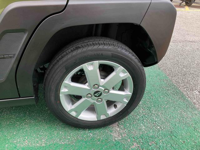 タフト G(22枚目)