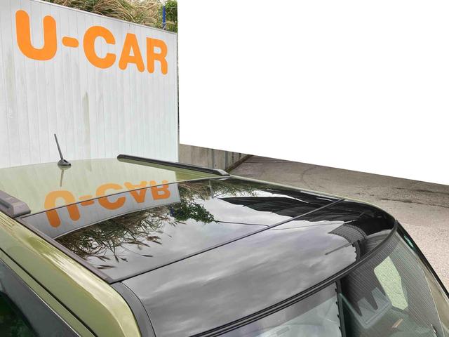 タフト G(27枚目)