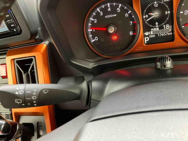 タフト G(35枚目)