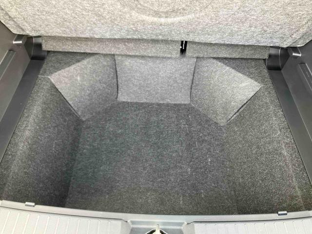 ロッキー Ｘ（20枚目）