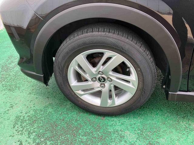 ロッキー Ｘ（21枚目）